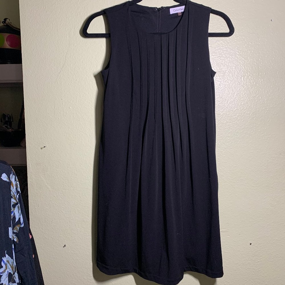 Calvin Klein Petite Swing Dress